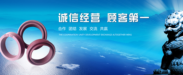 沈阳嘉德旺密封件制造厂, 导向带厂家