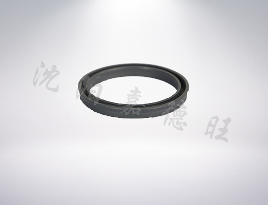 DH形防尘密封圈